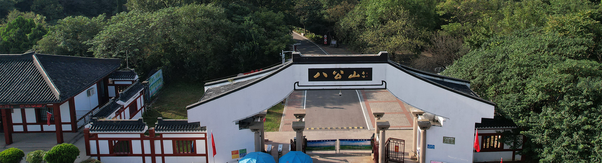 banner图3